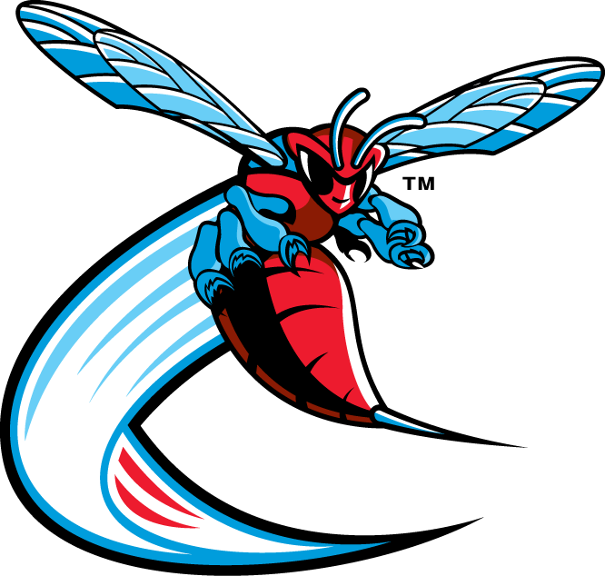 Delaware State Hornets 2004-Pres Alternate Logo v3 iron on transfers for clothing